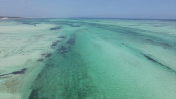 Stock Video Shows Aerial View Ocean Coast Zanzibar Tanzania Resolution — Stock Video