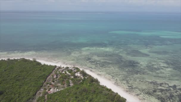 Stock Video Shows Aerial View Ocean Coast Zanzibar Tanzania Resolution — Stockvideo