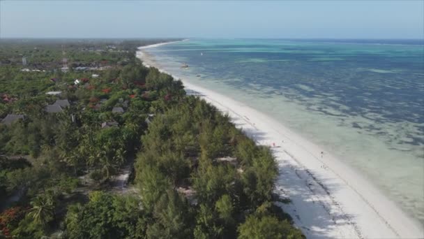 Stock Video Shows Aerial View Ocean Coast Zanzibar Tanzania Resolution — Vídeo de stock