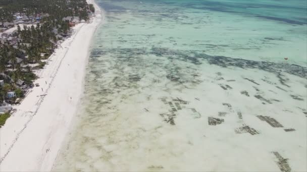 Stock Video Shows Aerial View Ocean Coast Zanzibar Tanzania Resolution — Video Stock