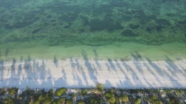 Bu video 8K çözünürlükte Tanzanya 'nın Zanzibar kıyısındaki okyanus manzarasını gösteriyor.