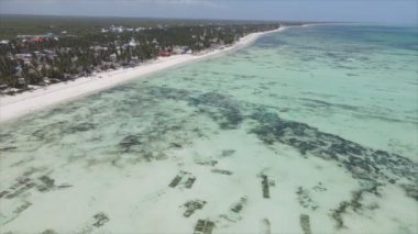 Bu video 8K çözünürlükte Tanzanya 'nın Zanzibar kıyısındaki okyanus manzarasını gösteriyor.