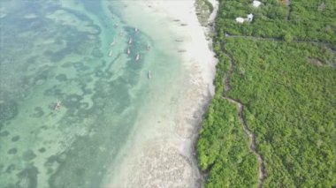 Bu video 8K çözünürlükte Tanzanya 'nın Zanzibar kıyısındaki okyanus manzarasını gösteriyor.