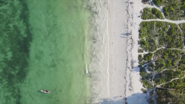 Stock Video Shows Aerial View Ocean Coast Zanzibar Tanzania Resolution — Stock video
