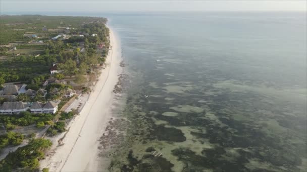 Stock Video Shows Aerial View Ocean Coast Zanzibar Tanzania Resolution — Stock Video