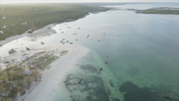 Stock Video Shows Aerial View Ocean Coast Zanzibar Tanzania Resolution — Stock video