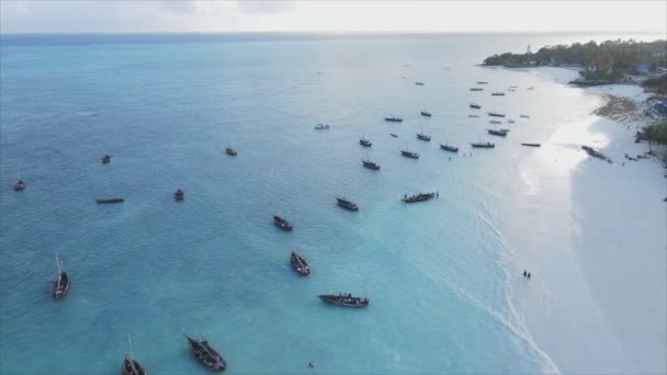 Stock Video Shows Aerial View Ocean Coast Zanzibar Tanzania Resolution — Vídeo de stock