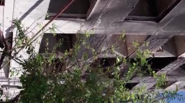 Bu borsa dikey videosu Ukrayna 'daki savaş sonrasını gösteriyor. Borodyanka' da yıkılan bir yerleşim yeri.