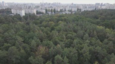 This stock footage shows an aerial view of the border of a forest and a big city, Kyiv, Ukraine in 8K resolution