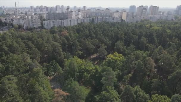 Stock Footage Shows Aerial View Border Forest Big City Kyiv — Vídeo de Stock