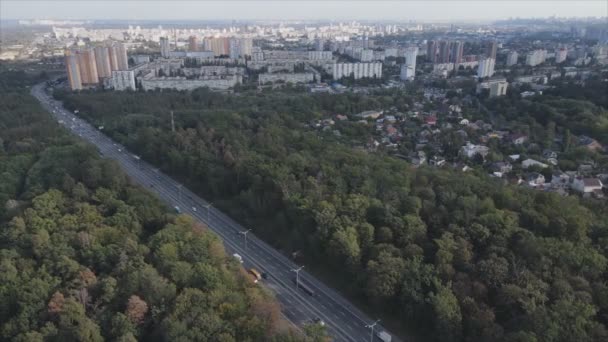 Stock Footage Shows Aerial View Border Forest Big City Kyiv — Stock video