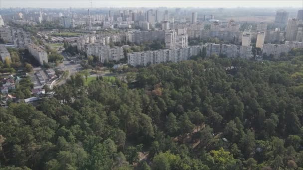 Stock Footage Shows Aerial View Border Forest Big City Kyiv — Video Stock