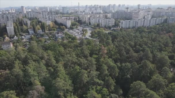 Stock Footage Shows Aerial View Border Forest Big City Kyiv — стоковое видео