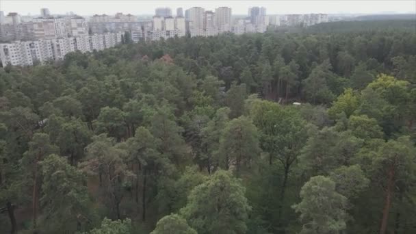 Stock Footage Shows Aerial View Border Forest Big City Kyiv — 비디오