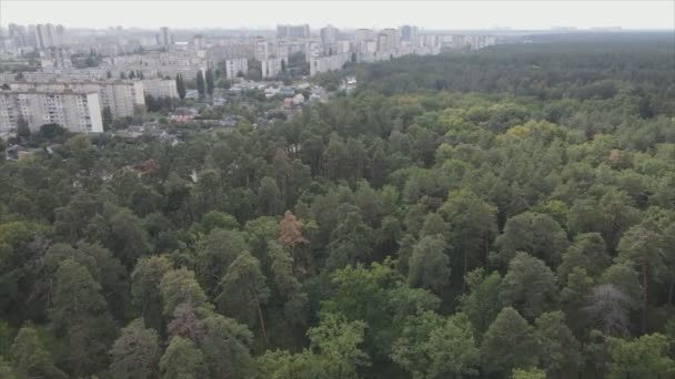 Stock Footage Shows Aerial View Border Forest Big City Kyiv — Vídeo de Stock