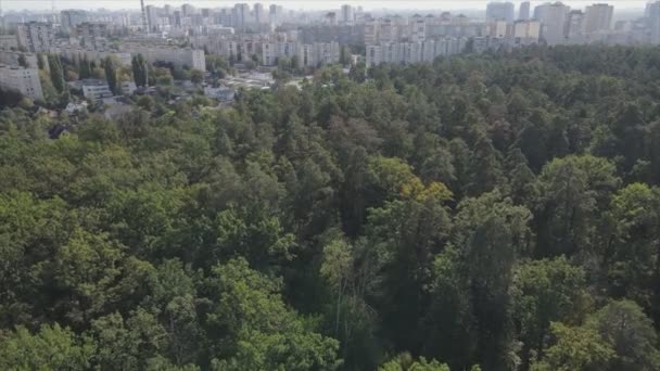 Stock Footage Shows Aerial View Border Forest Big City Kyiv — Stockvideo