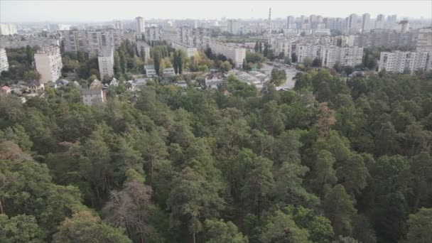 Stock Footage Shows Aerial View Border Forest Big City Kyiv — Video Stock