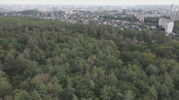 Stock Footage Shows Aerial View Border Forest Big City Kyiv — Αρχείο Βίντεο