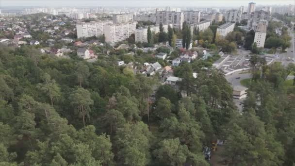 Stock Footage Shows Aerial View Border Forest Big City Kyiv — стокове відео