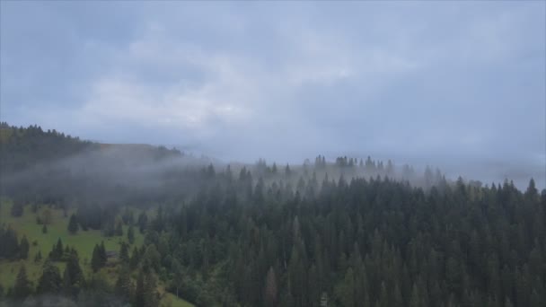 Stock Footage Shows Aerial View Mountains Covered Fog Carpathians Ukraine — Stok video