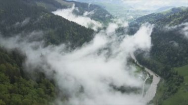 This stock footage shows aerial view of mountains covered with fog - Carpathians, Ukraine in 8K resolution