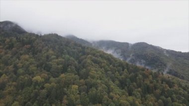 This stock footage shows aerial view of mountains covered with fog - Carpathians, Ukraine in 8K resolution
