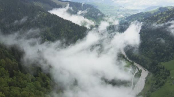 Stock Footage Shows Aerial View Mountains Covered Fog Carpathians Ukraine — Vídeo de stock