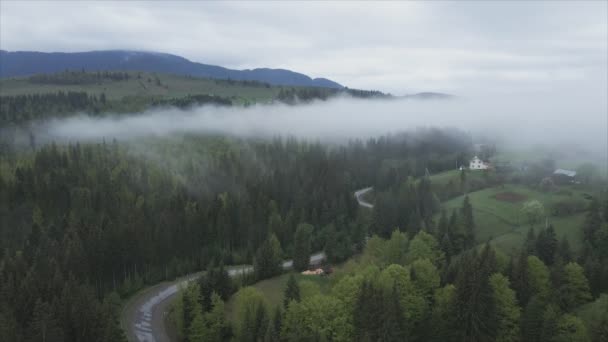 Stock Footage Shows Aerial View Mountains Covered Fog Carpathians Ukraine — Video Stock