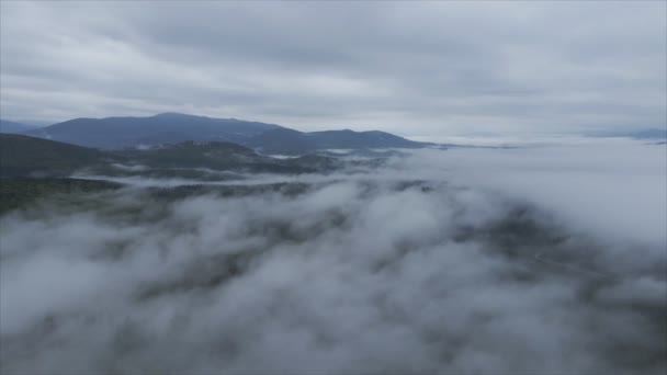 Stock Footage Shows Aerial View Mountains Covered Fog Carpathians Ukraine — ストック動画