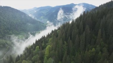 This stock footage shows aerial view of mountains covered with fog - Carpathians, Ukraine in 8K resolution