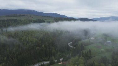 This stock footage shows aerial view of mountains covered with fog - Carpathians, Ukraine in 8K resolution