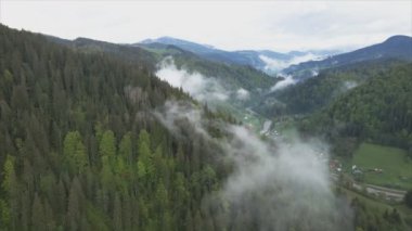 This stock footage shows aerial view of mountains covered with fog - Carpathians, Ukraine in 8K resolution