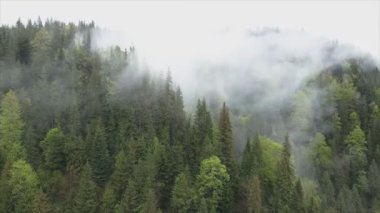 This stock footage shows aerial view of mountains covered with fog - Carpathians, Ukraine in 8K resolution