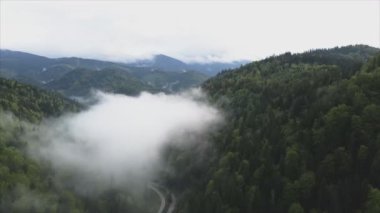 This stock footage shows aerial view of mountains covered with fog - Carpathians, Ukraine in 8K resolution