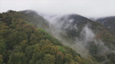 This stock footage shows aerial view of mountains covered with fog - Carpathians, Ukraine in 8K resolution