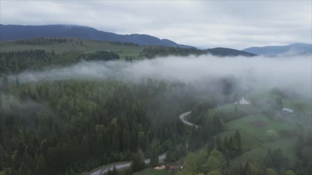 Stock Footage Shows Aerial View Mountains Covered Fog Carpathians Ukraine — Vídeos de Stock