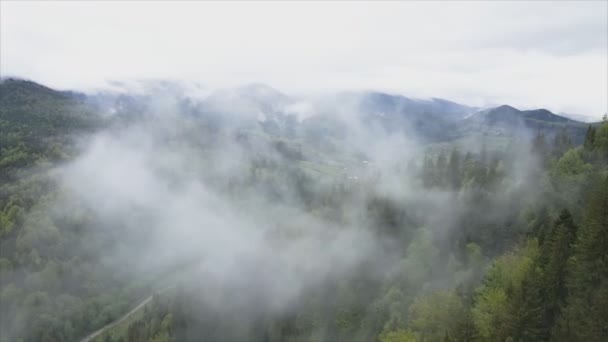 Stock Footage Shows Aerial View Mountains Covered Fog Carpathians Ukraine — Vídeos de Stock