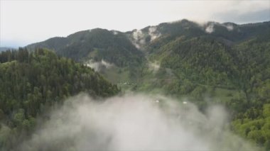 This stock footage shows aerial view of mountains covered with fog - Carpathians, Ukraine in 8K resolution