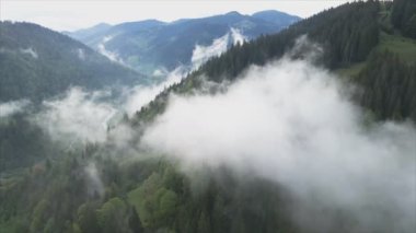 This stock footage shows aerial view of mountains covered with fog - Carpathians, Ukraine in 8K resolution