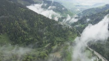 This stock footage shows aerial view of mountains covered with fog - Carpathians, Ukraine in 8K resolution
