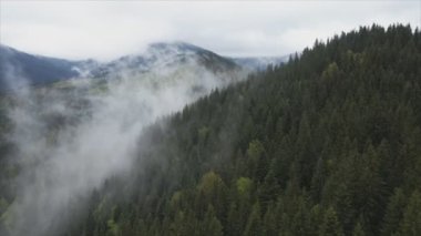This stock footage shows aerial view of mountains covered with fog - Carpathians, Ukraine in 8K resolution