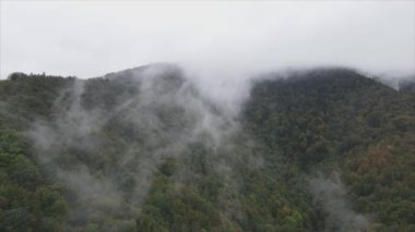 This stock footage shows aerial view of mountains covered with fog - Carpathians, Ukraine in 8K resolution
