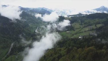 This stock footage shows aerial view of mountains covered with fog - Carpathians, Ukraine in 8K resolution