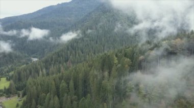 This stock footage shows aerial view of mountains covered with fog - Carpathians, Ukraine in 8K resolution