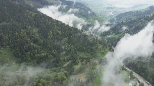 Stock Footage Shows Aerial View Mountains Covered Fog Carpathians Ukraine — Stockvideo