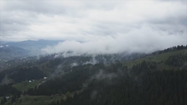 Stock Footage Shows Aerial View Mountains Covered Fog Carpathians Ukraine — Vídeo de stock
