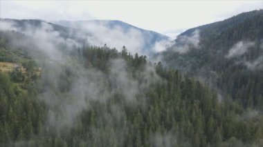 This stock footage shows aerial view of mountains covered with fog - Carpathians, Ukraine in 8K resolution