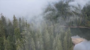 This stock footage shows aerial view of mountains covered with fog - Carpathians, Ukraine in 8K resolution