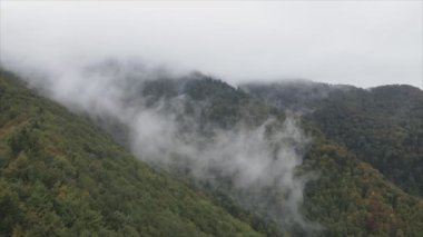 This stock footage shows aerial view of mountains covered with fog - Carpathians, Ukraine in 8K resolution