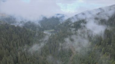 This stock footage shows aerial view of mountains covered with fog - Carpathians, Ukraine in 8K resolution